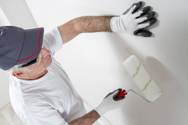  Stewartville, MN Mold Removal Pros