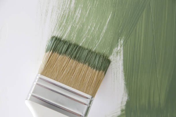 Best Mold Remediation for Healthcare Facilities  in Stewartville, MN