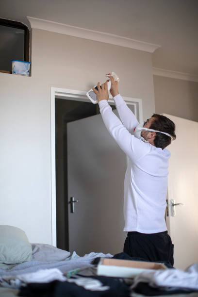 Best Air Quality Testing for Mold Spores  in Stewartville, MN