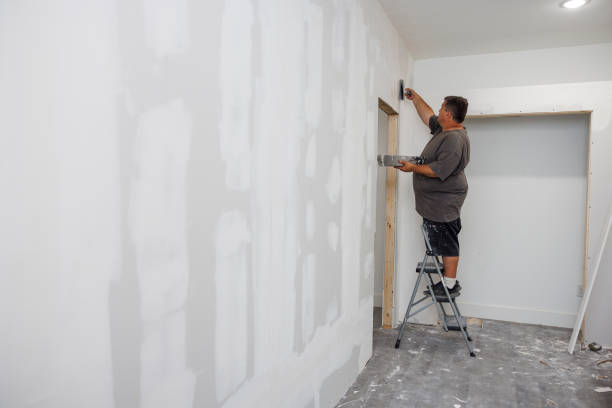 Best Emergency Mold Remediation  in Stewartville, MN