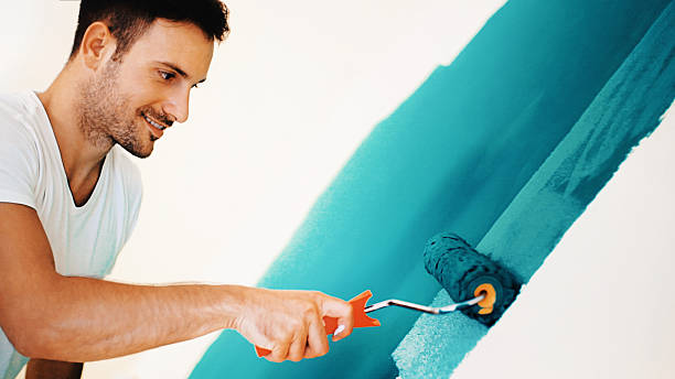 Best Mold Damage Restoration  in Stewartville, MN