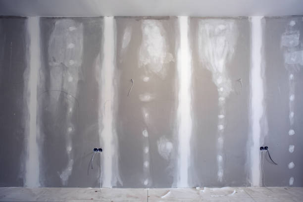 Best Attic Mold Removal  in Stewartville, MN