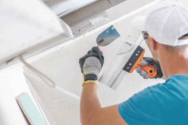 Best Black Mold Removal  in Stewartville, MN